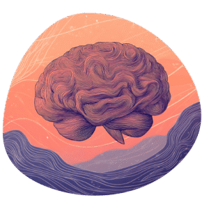 brain gym formation cerveau SYNAPKiN