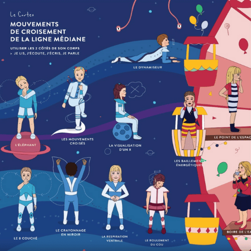 Brain Gym® Formation poster brain gym 26 mouvements pff