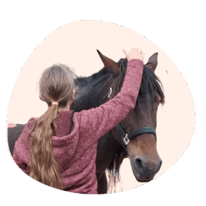 kinésiologue animalier