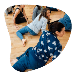 formation réflexes archaïques synapkin