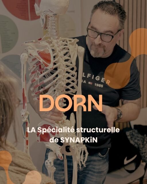 DORN
Du 1 au 5 mai 
Lyon 

LE stage à ne pas rater ! Le plus pour vos cabinets une méthode d’une efficacité à toute épreuve bienvenue dans la méthode DORN. 

Au programme : 
- apprendre , identifier et corriger les déséquilibres articulaires et vertébraux 
- pratiquer et maîtriser les corrections et auto corrections 
Et plein d’autres choses sont au programme. 

Objectifs : pouvoir accompagner les déséquilibres structurels et soulager les maux physiques. 

Vous répartirez avec : une méthode complète, des outils pour vous, vos proches vos clients. 

Stage ouvert à tous ! 
Spécialité uniquement chez Synapkin ! 

#synapkin #dorn