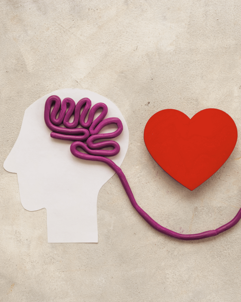cerveau et coeur, roue des émotions
